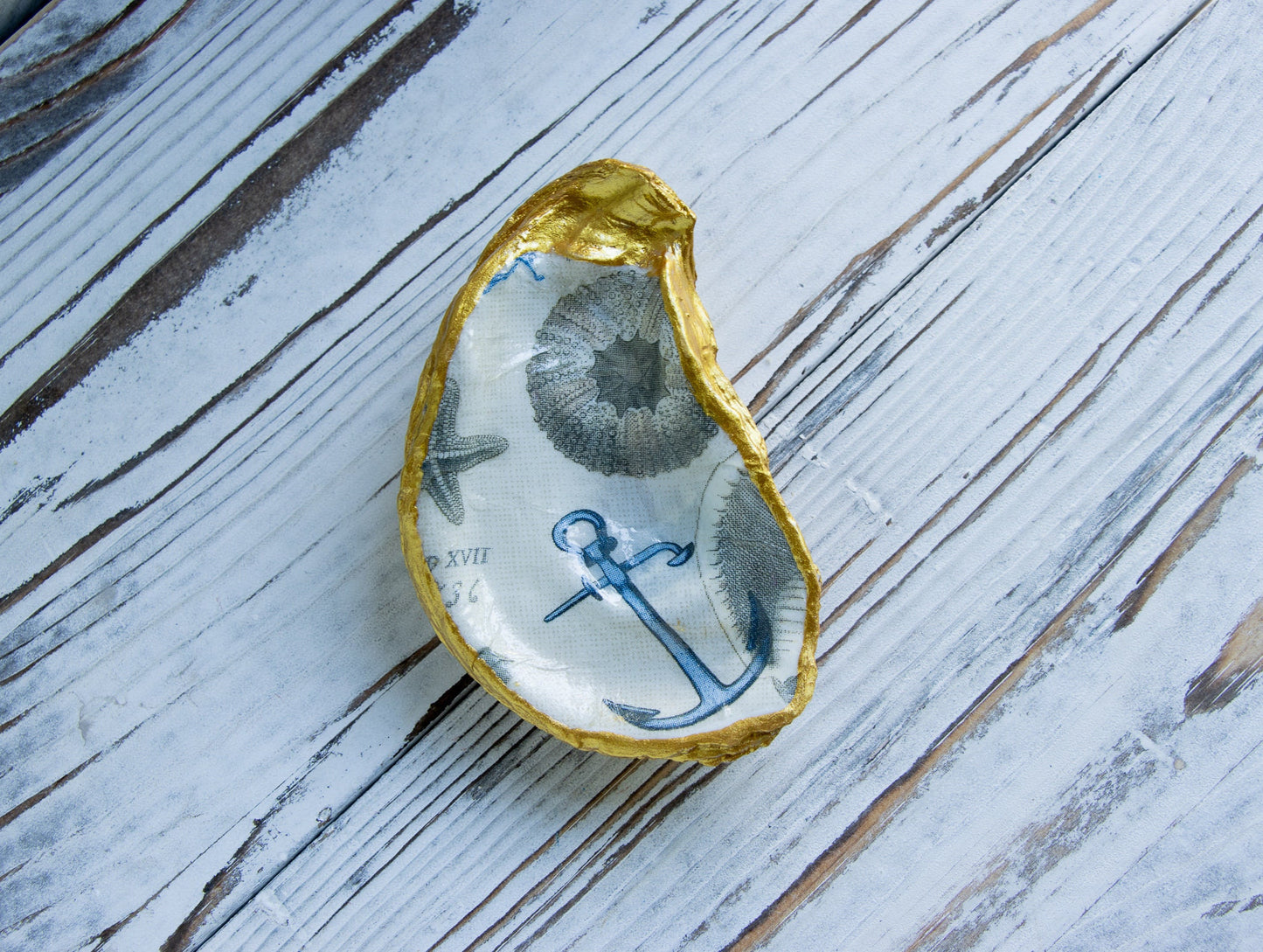 Oyster Shell Anchor & Seashell Ring Dish