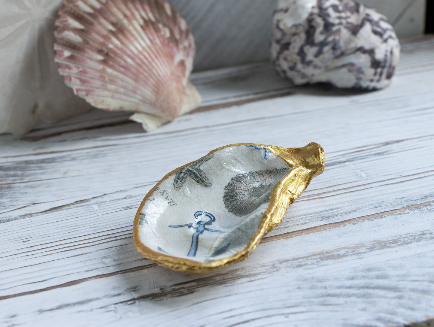 Oyster Shell Anchor & Seashell Ring Dish