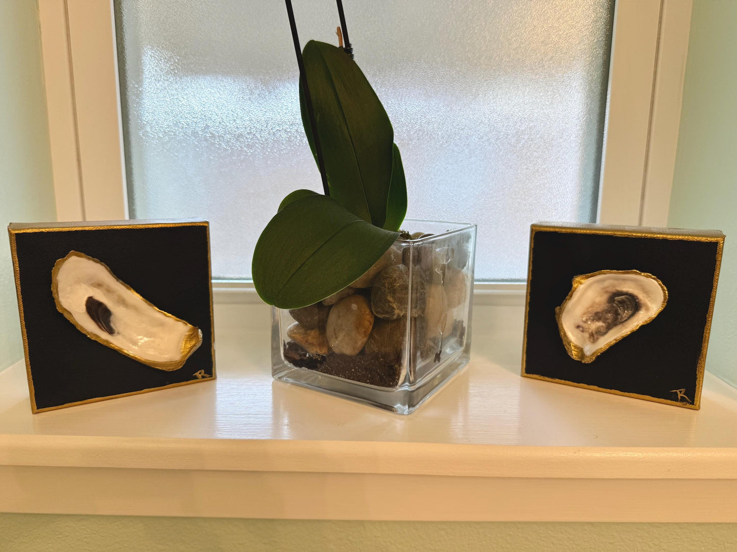 Oyster Shell on Canvas Navy and Gold